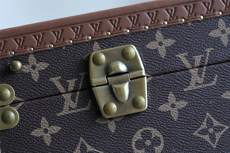 Alice bags - Louis Vuittons  - 9520