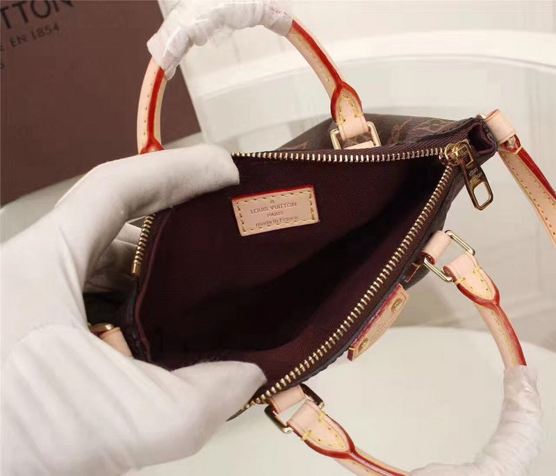 Alice Bags- Louis Vuittons  - 16365