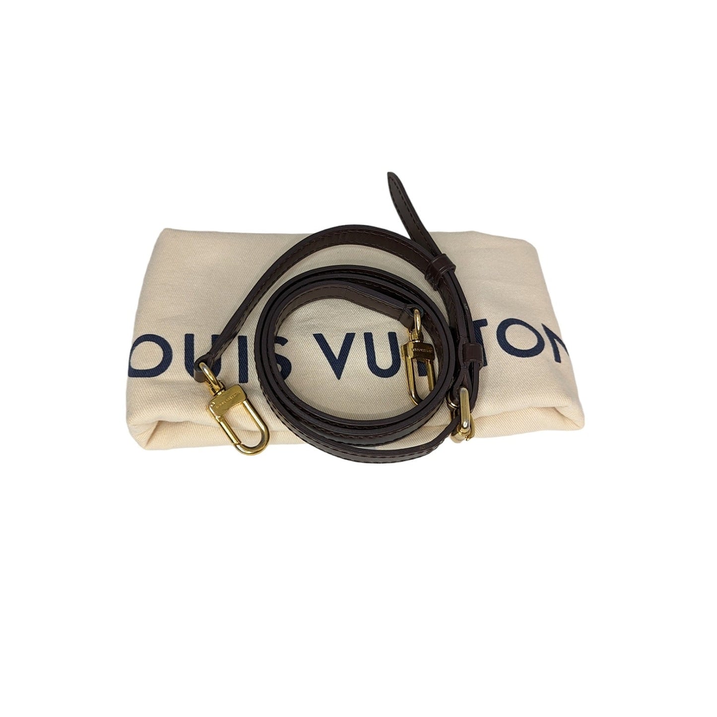 Louis Vuitton Damier Ebene Siena PM Bag