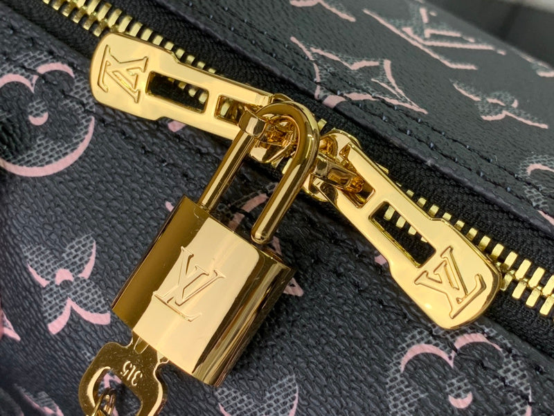 Alice Bags- Louis Vuittons  - 16378