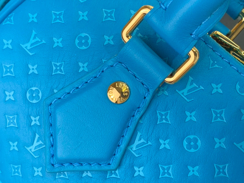 Alice bags - Louis Vuittons  - 15634