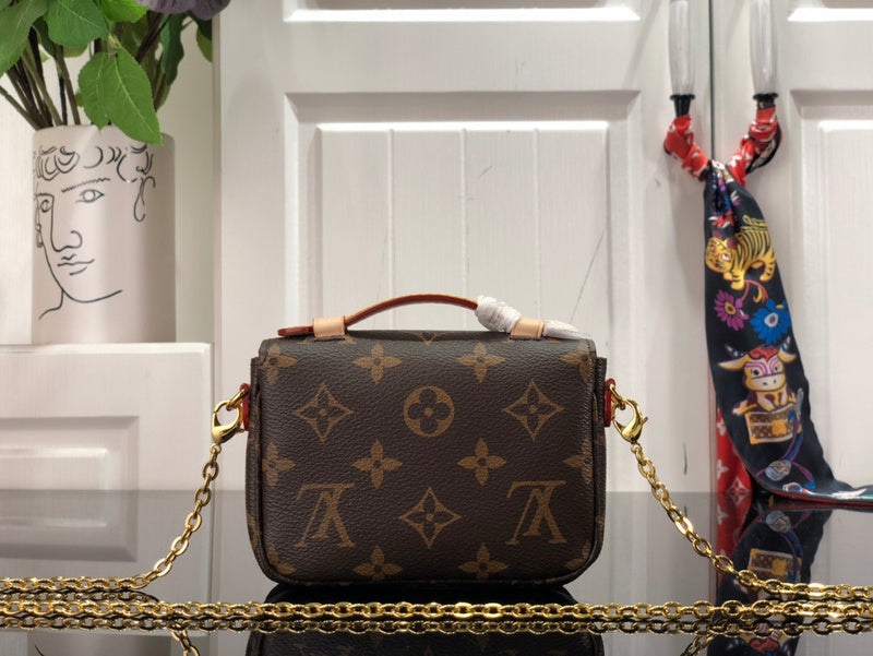 Alice Bags- Louis Vuittons  - 16533