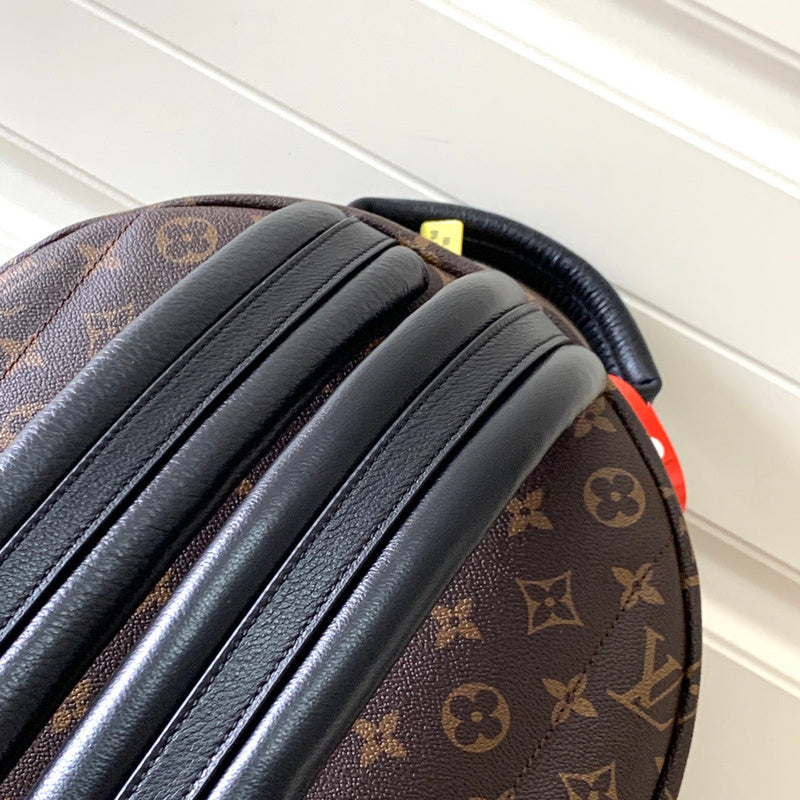Alice bags - Louis Vuittons  - 15356