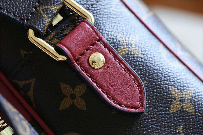 Alice bags - Louis Vuittons  - 10503