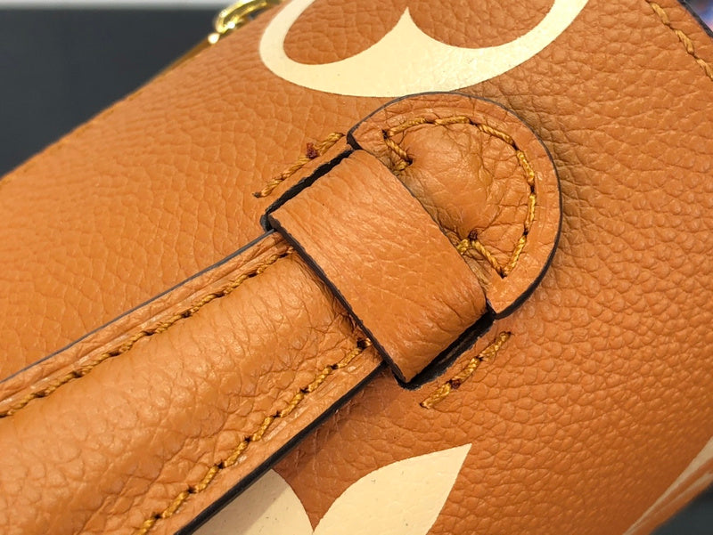 Alice Bags- Louis Vuittons  - 16507
