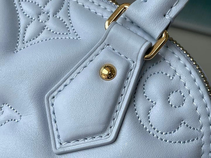 Alice Bags- Louis Vuittons  - 16617