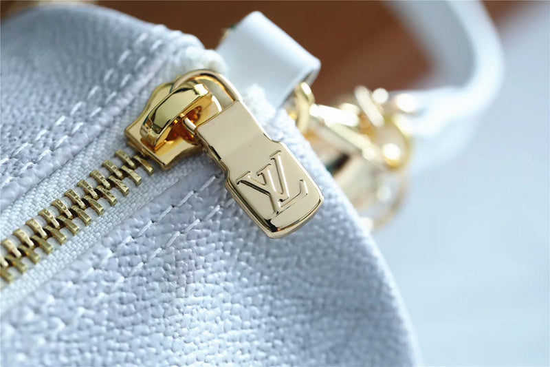 Alice bags - Louis Vuittons  - 7976
