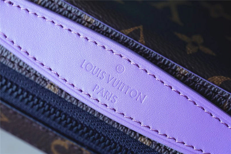 Alice bags - Louis Vuittons  - 10112