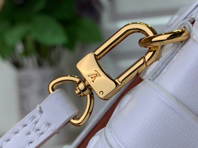 Alice Bags- Louis Vuittons  - 16386