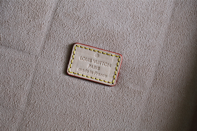 Alice bags - Louis Vuittons  - 9539