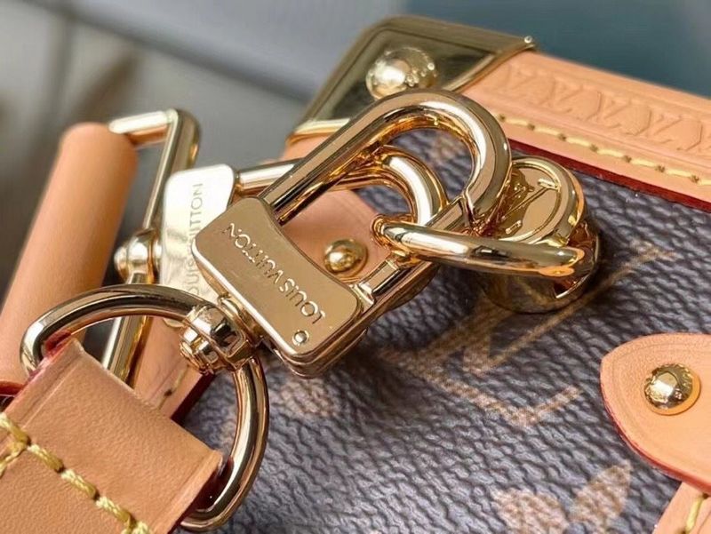 Alice  Bags- Louis Vuittons  - 15932
