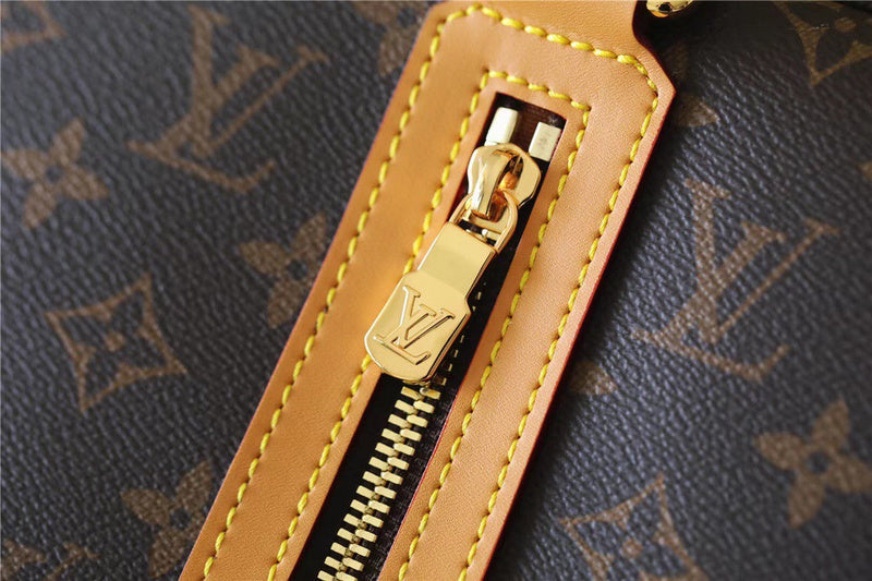 Alice bags - Louis Vuittons  - 9800