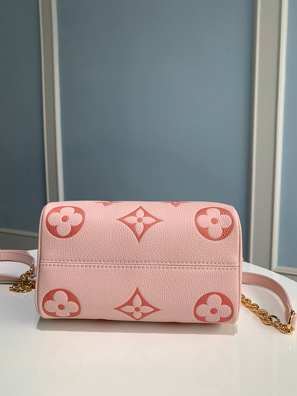 Alice bags - Louis Vuittons  - 15164