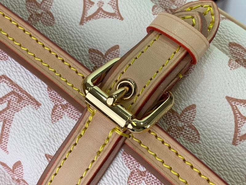 Alice Bags- Louis Vuittons  - 16381