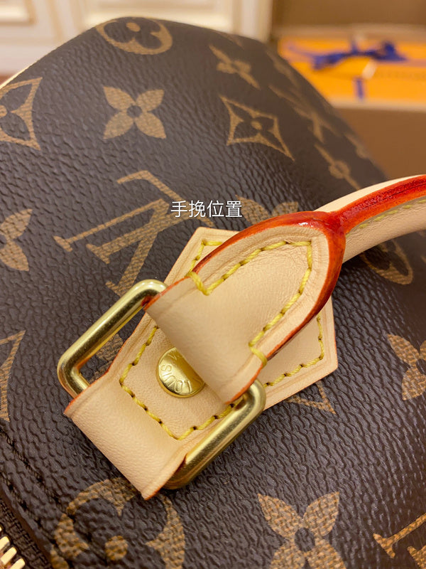 Alice Bags- Louis Vuittons  - 16196