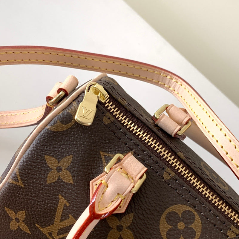 Alice Bags- Louis Vuittons  - 16247
