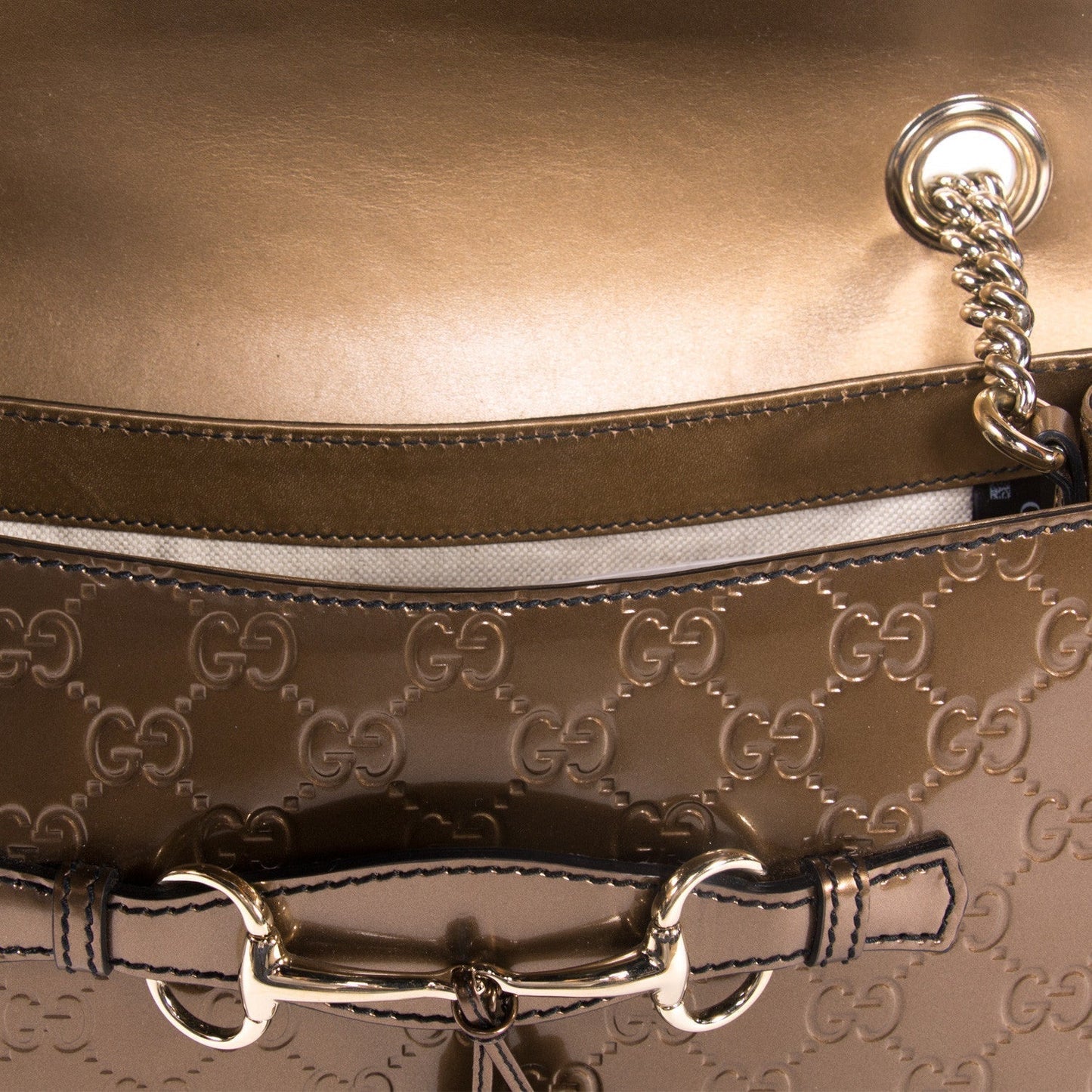 Gucci Emily Guccissima Bag