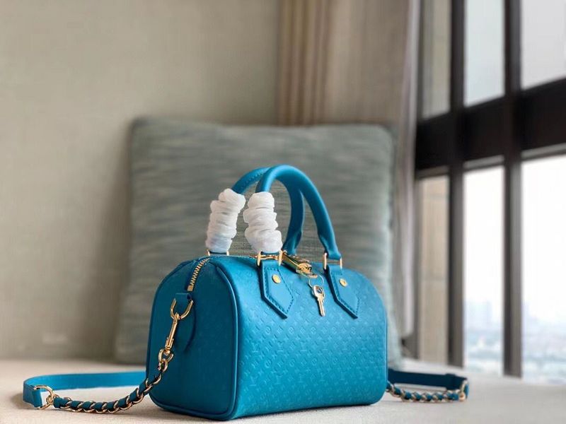 Alice bags - Louis Vuittons  - 15679