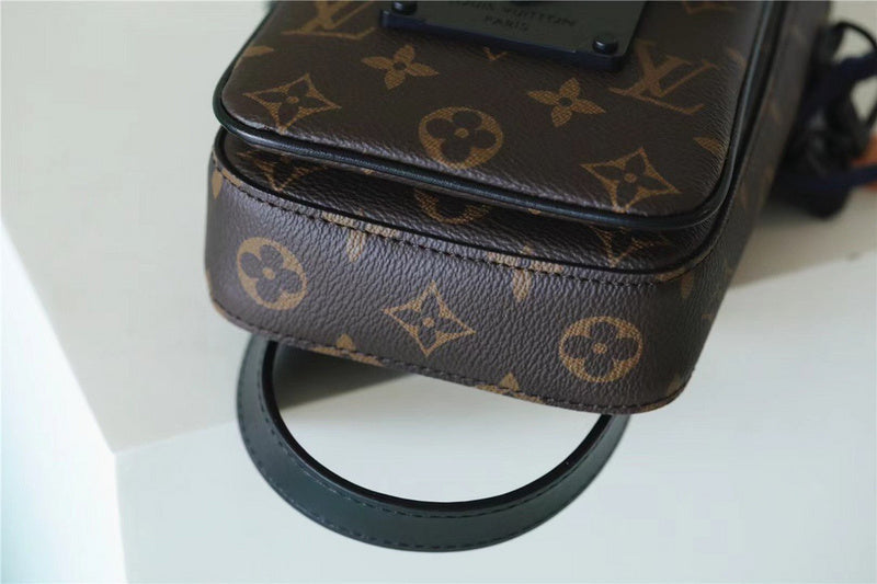 Alice bags - Louis Vuittons  - 10077