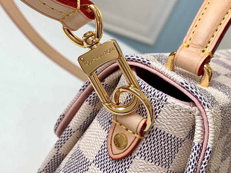 Alice Bags- Louis Vuittons  - 16496