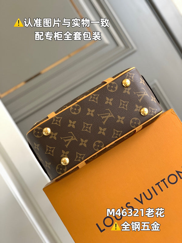 Alice  Bags- Louis Vuittons  - 15950