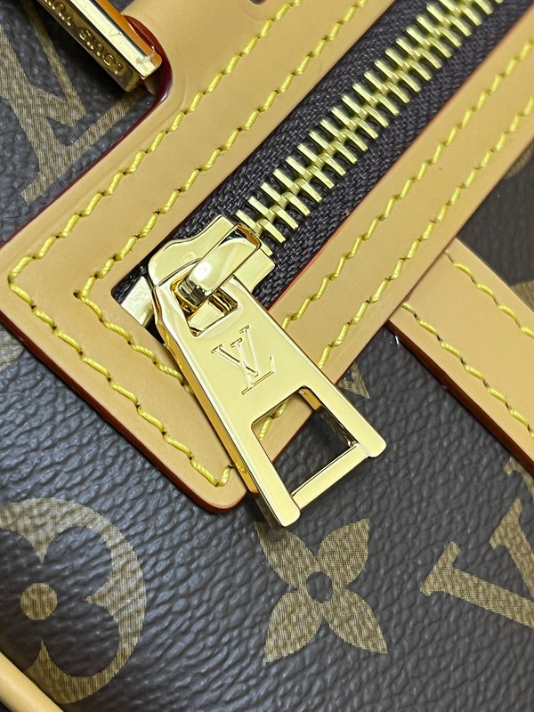 Alice Bags- Louis Vuittons  - 16143