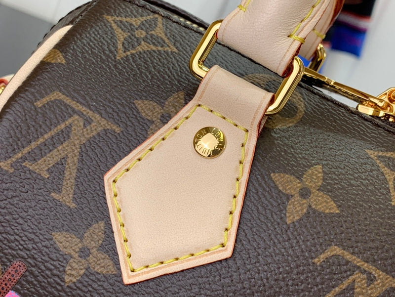Alice bags - Louis Vuittons  - 15657