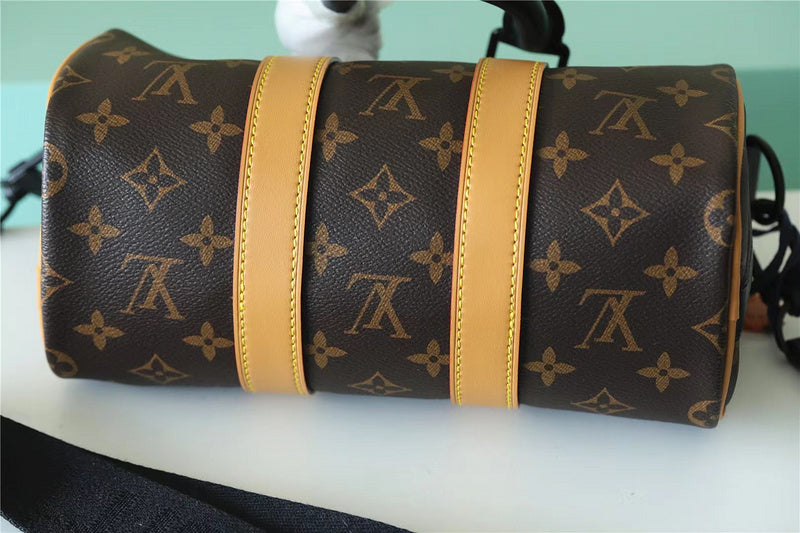 Alice bags - Louis Vuittons  - 11241