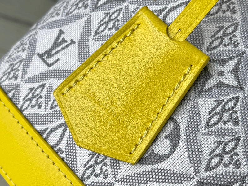 Alice bags - Louis Vuittons  - 15691