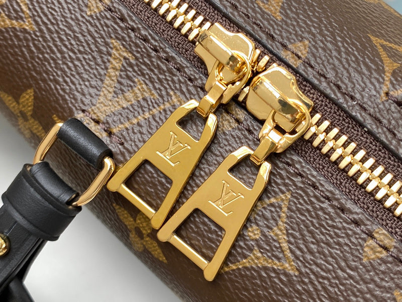 Alice Bags- Louis Vuittons  - 16366