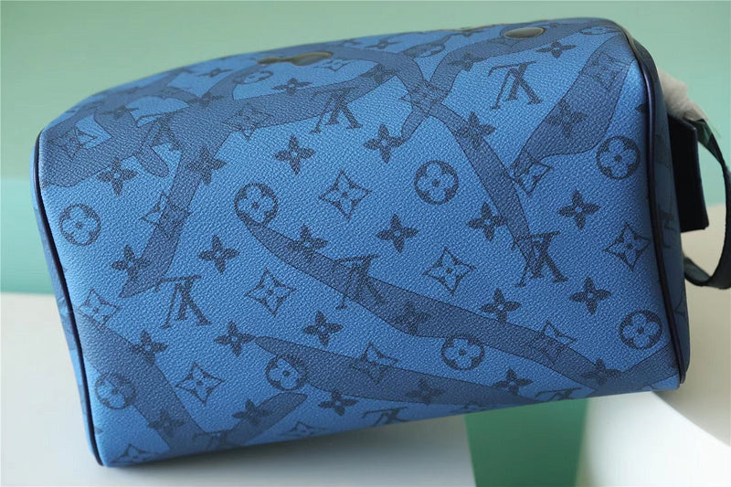 Alice bags - Louis Vuittons  - 10665