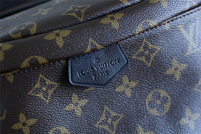 Alice bags - Louis Vuittons  - 10365