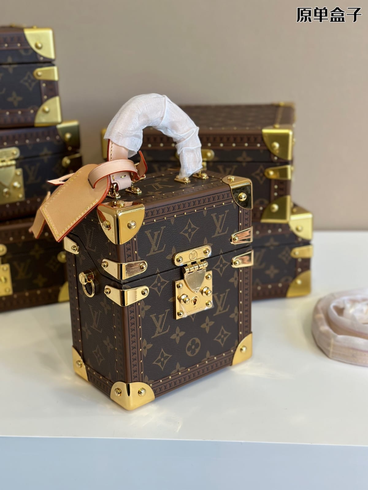 Louis Vuitton Camera Box Handbag ( Lushentic Version )