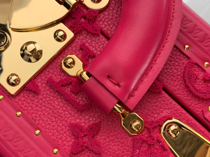 Alice Bags- Louis Vuittons  - 16572