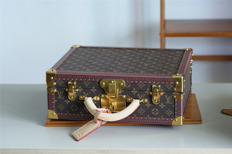 Alice bags - Louis Vuittons  - 9516