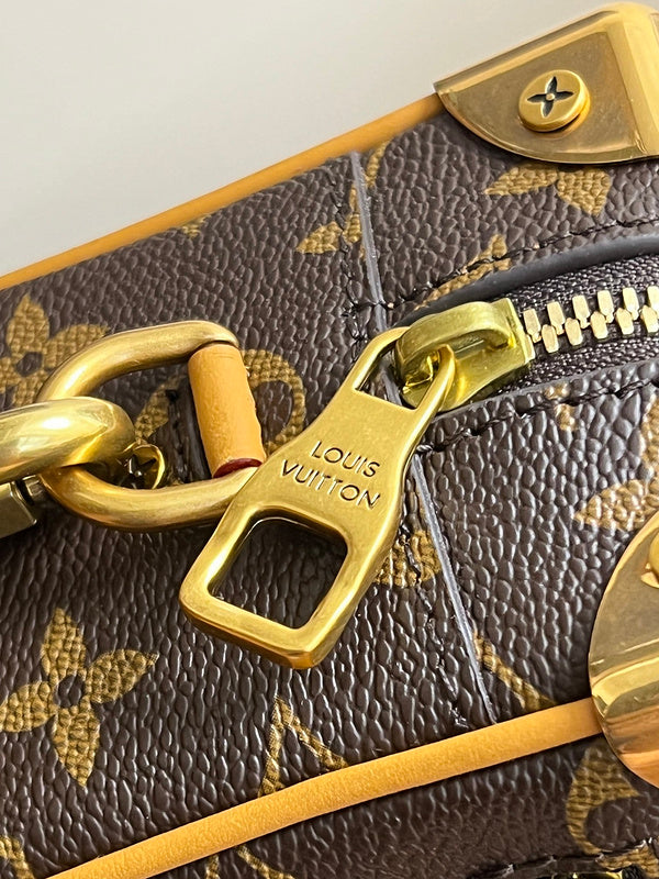 Alice Bags- Louis Vuittons  - 16137