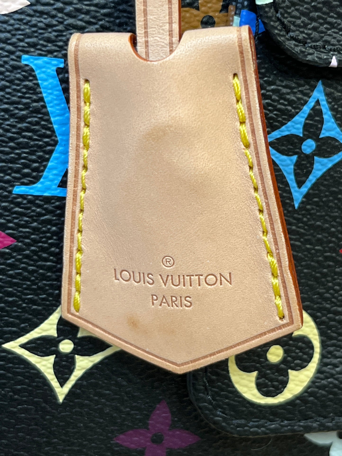 Louis Vuitton Handbag Luxury Designer