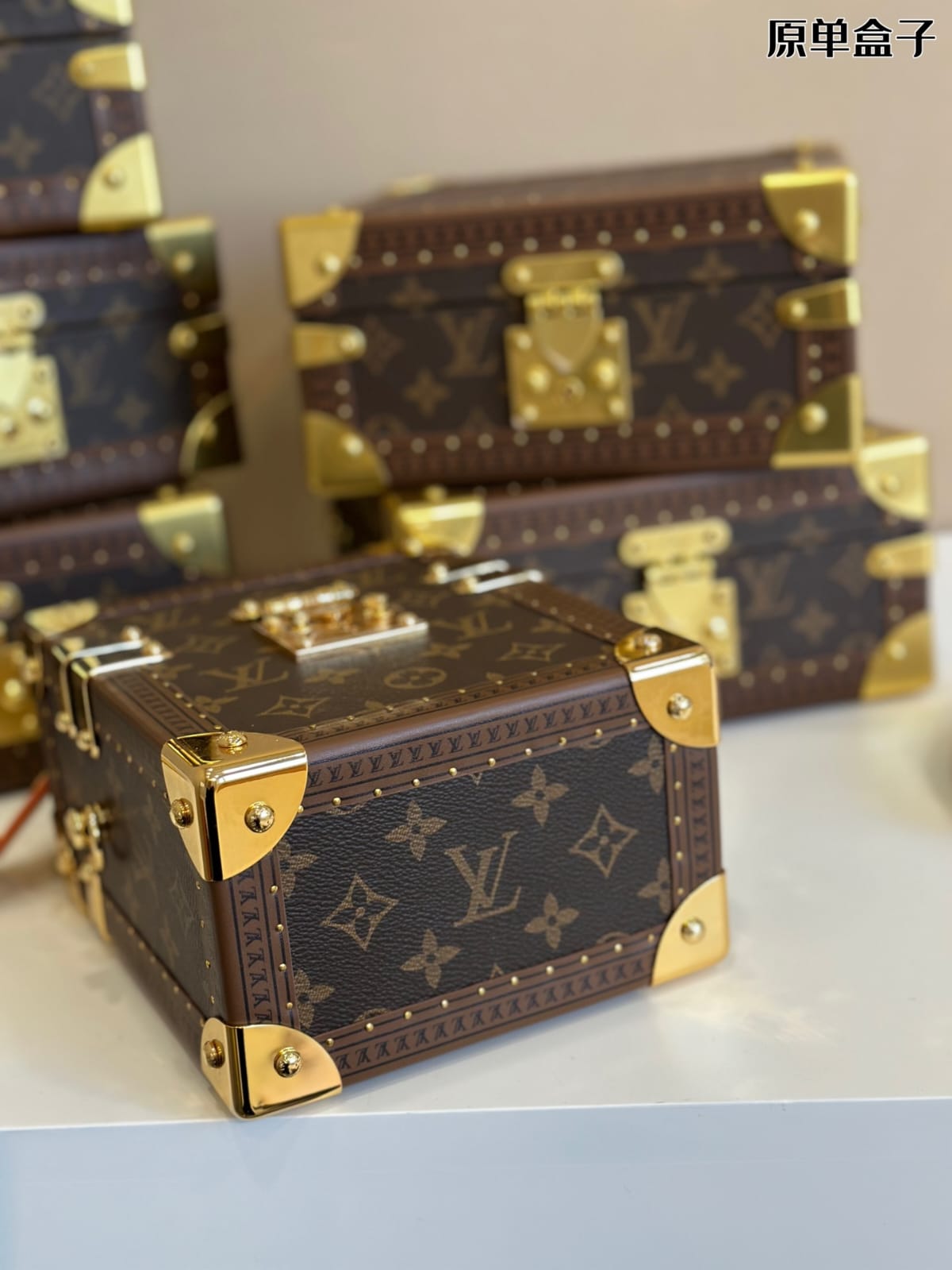 Louis Vuitton Camera Box Handbag ( Lushentic Version )