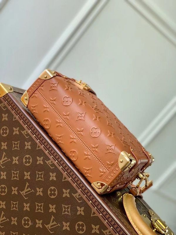 Alice Bags- Louis Vuittons  - 15975