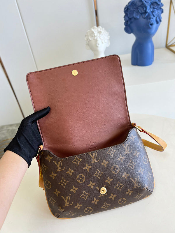 Alice Bags- Louis Vuittons  - 16413