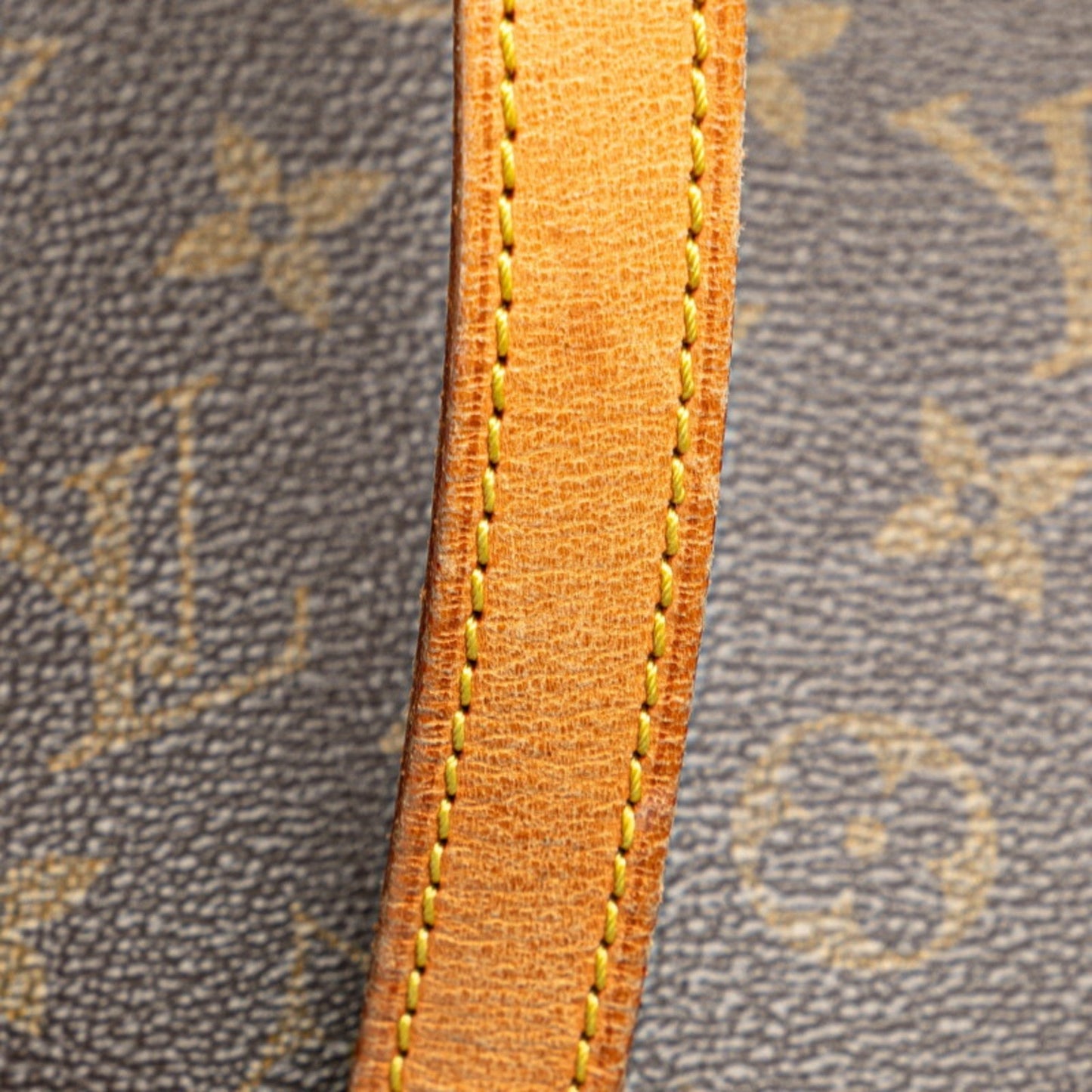 Louis Vuitton  Pvc Leather Shoulder Bag