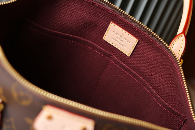Alice Bags- Louis Vuittons  - 16146