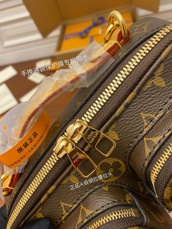 Alice Bags- Louis Vuittons  - 16516