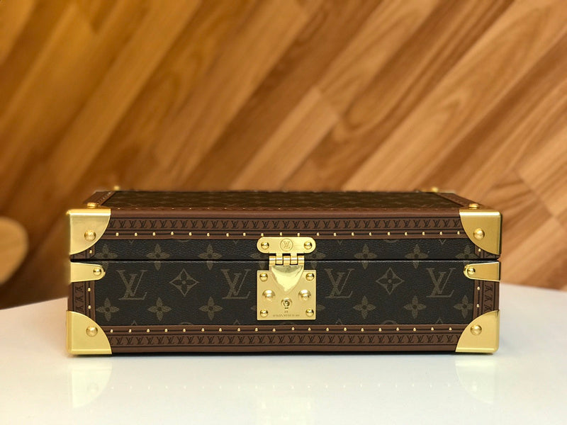 Alice Bags- Louis Vuittons  - 15994