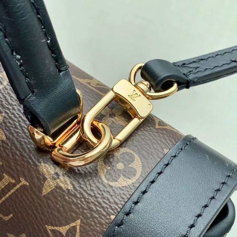 Alice Bags- Louis Vuittons  - 16597