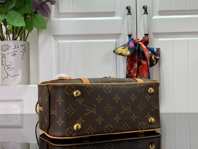 Alice Bags- Louis Vuittons  - 16373