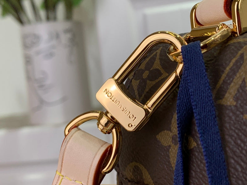 Alice bags - Louis Vuittons  - 15746