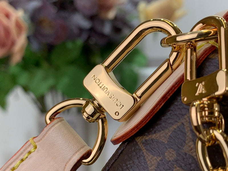 Alice bags - Louis Vuittons  - 15656