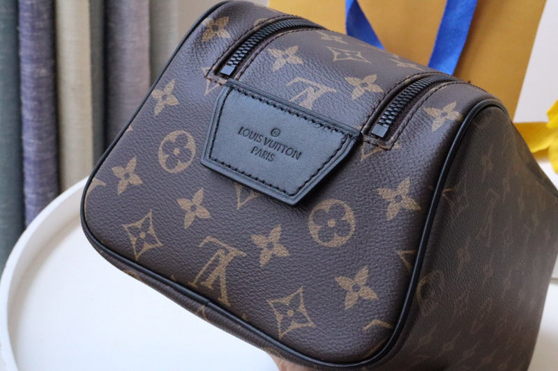 Alice Bags- Louis Vuittons  - 16178
