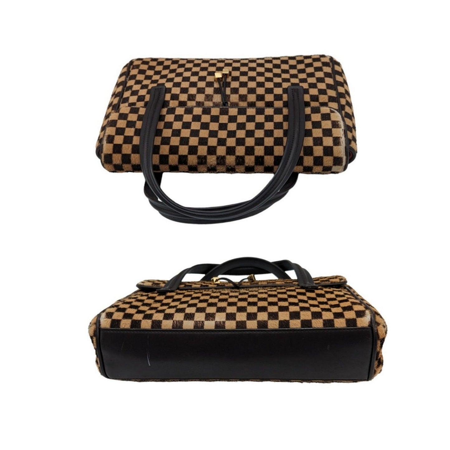 Louis Vuitton Damier Sauvage Lionne Handbag
